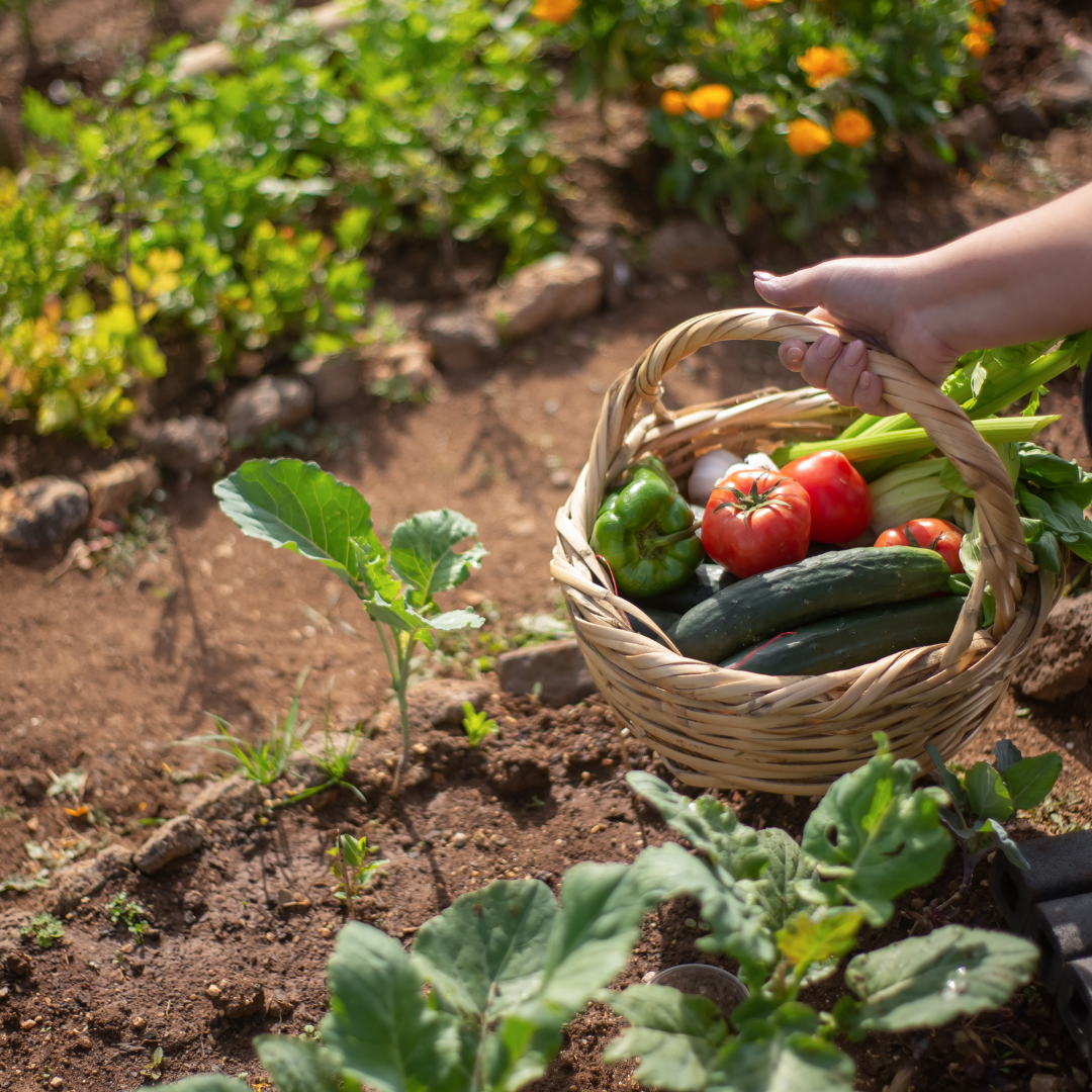 Home Garden